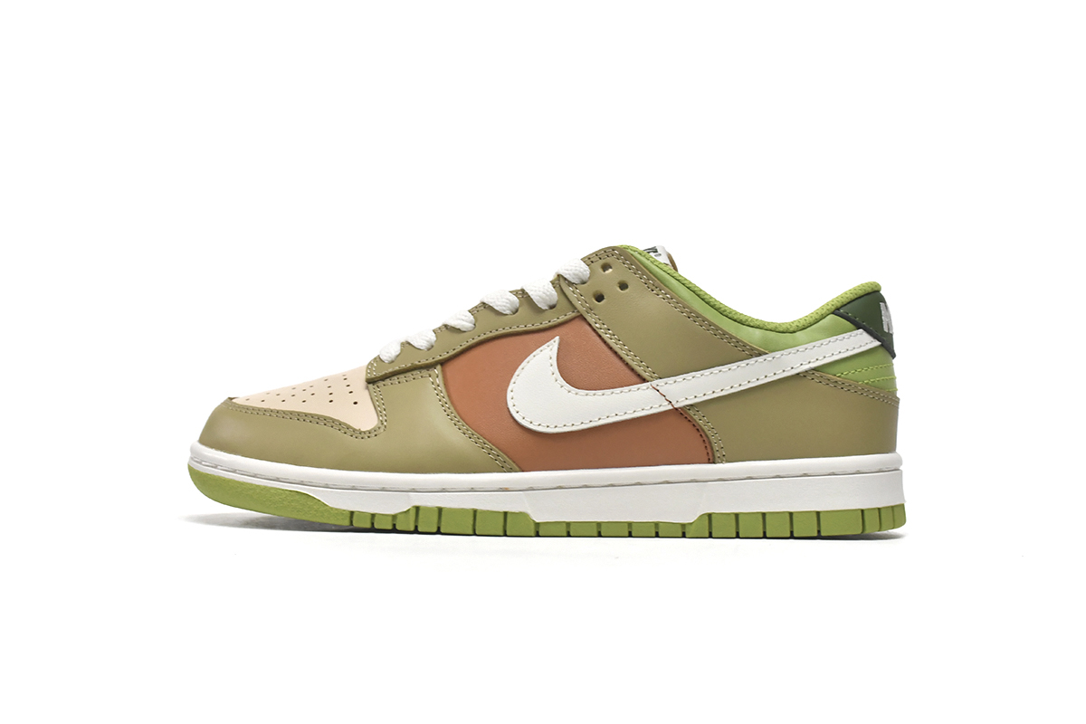 Nike Dunk Low 'Brown Green' DV9108-711